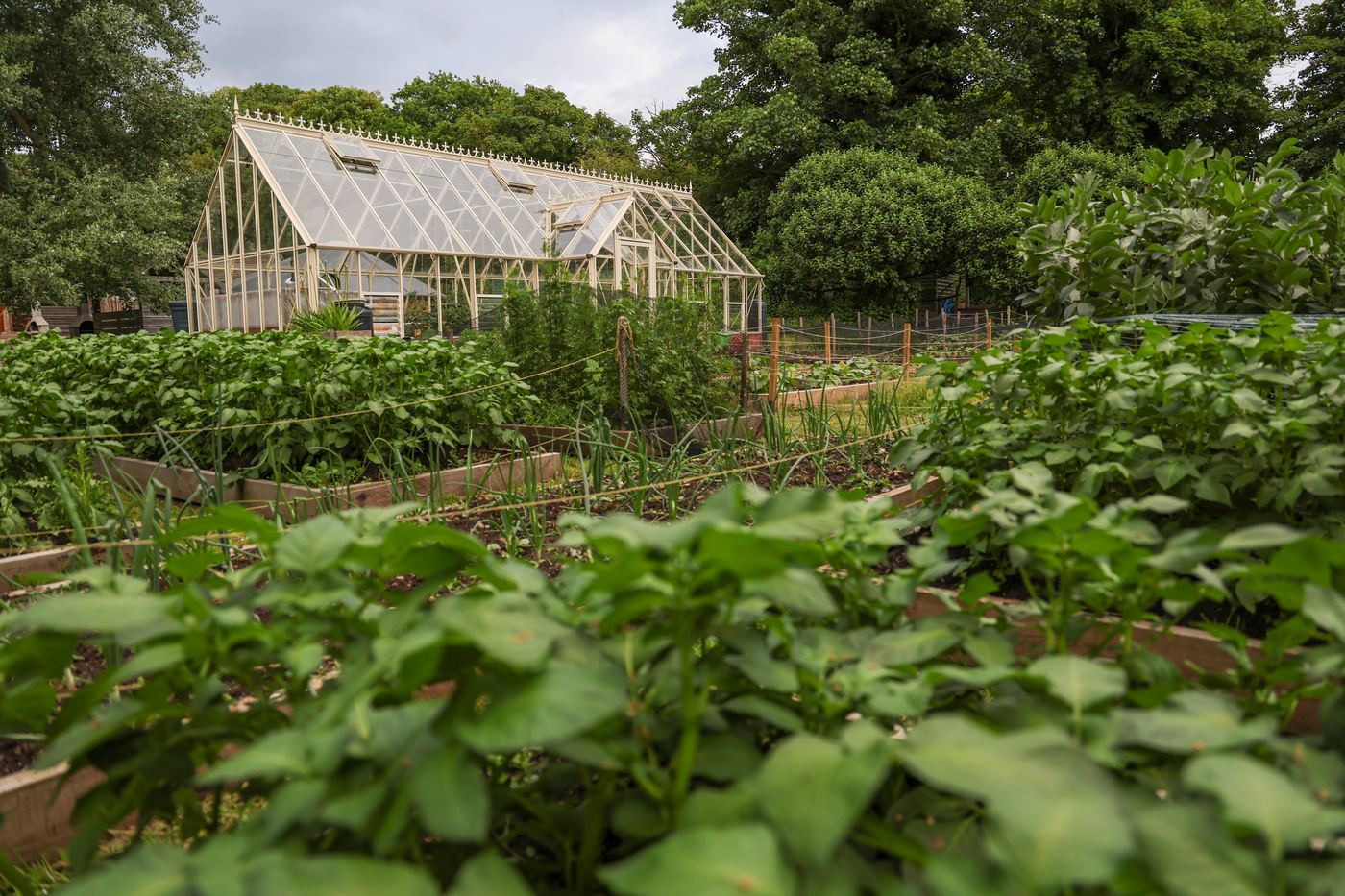 The Grove's kitchen garden and Victorian greenhouse